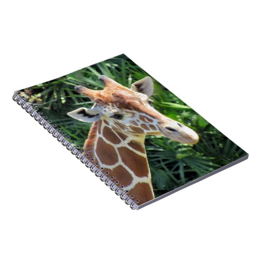 Giraffe - 6,5 x 8,75 Carnets (Côté Droit)