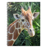 Giraffe - 6,5 x 8,75 Carnets (Devant)