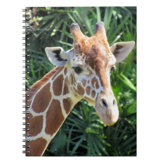 Giraffe - 6,5 x 8,75 Carnets (Devant)