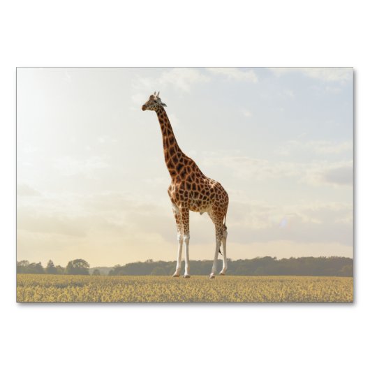 Giraffe ABA Tact Labelling Flashcard | KAART AFBEE (Voorkant)