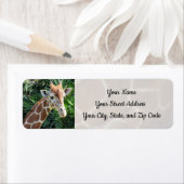 Giraffe Adresetiketten Etiket (Insitu)