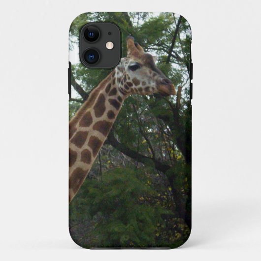 Giraffe Adventure Case-Mate iPhone Case (Achterkant)