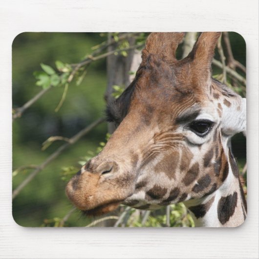 Giraffe Afbeeldingen Muismat (Voorkant)