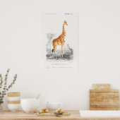 Giraffe afdruk poster (Keuken)