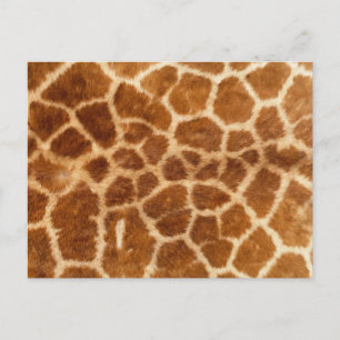 Giraffe afdrukken briefkaart