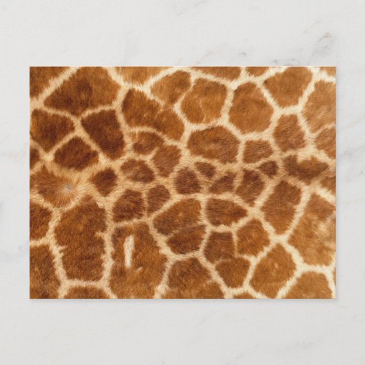 Giraffe afdrukken briefkaart (Voorkant)