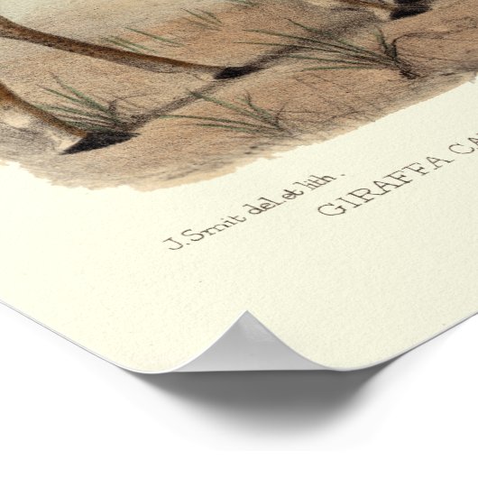 GIRAFFE AFDRUKKEN POSTER (Hoek)