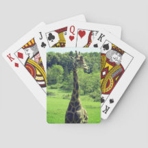 Giraffe afspeelkaarten