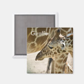 Giraffe ・ Aimant (Recto/Verso)