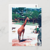 Giraffe Animal Sydney Australië Briefkaart (Voorkant / Achterkant)