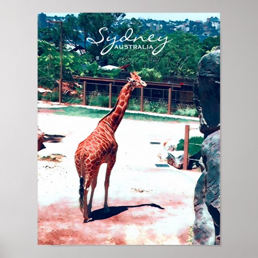 Giraffe Animal Sydney Australië Poster (Voorkant)