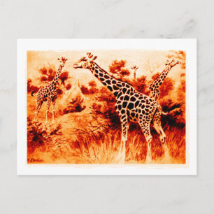 Giraffe Ansichtkaart Briefkaart