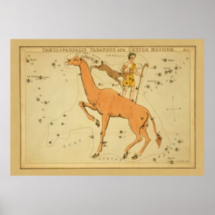 Giraffe - Astronomisch ster Afbeelding Poster