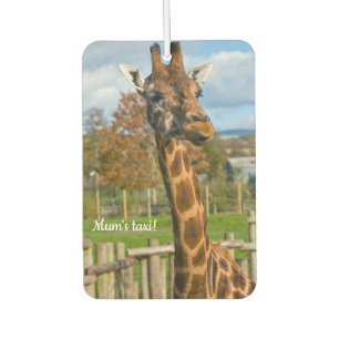 Giraffe auto geurverfrisser luchtverfrisser