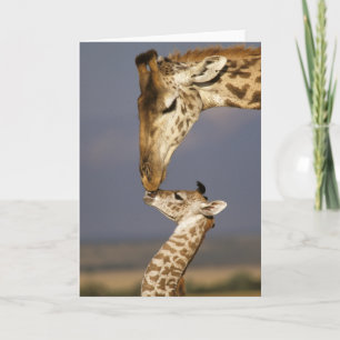 Giraffe Baby Giraffe Kaart