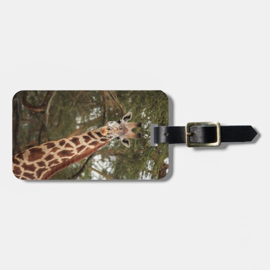 Giraffe Bagagelabel (Voorkant horizontaal)