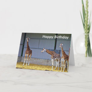Giraffe Birthday-kaart Kaart