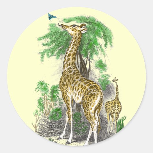 Giraffe Birthday Stickers (Voorkant)