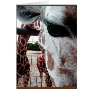 Giraffe blanco kaart
