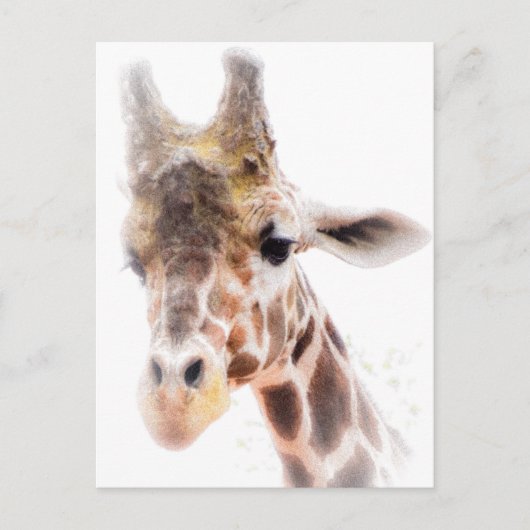 Giraffe Briefkaart (Voorkant)