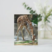 Giraffe Briefkaart (Staand voorkant)
