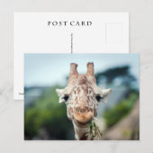 Giraffe Briefkaart (Voorkant / Achterkant)