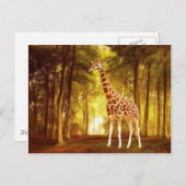 Giraffe Briefkaart (Voorkant / Achterkant)