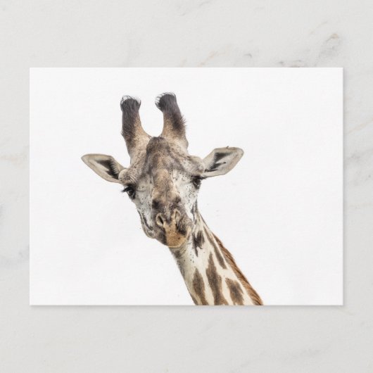Giraffe Briefkaart (Voorkant)