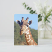 Giraffe Briefkaart (Staand voorkant)