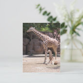 Giraffe Briefkaart (Staand voorkant)