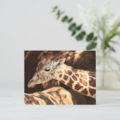 Giraffe Briefkaart (Staand voorkant)