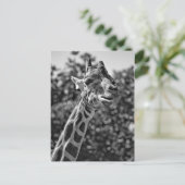 Giraffe Briefkaart (Staand voorkant)