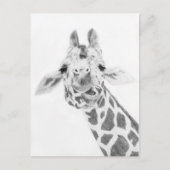 Giraffe Briefkaart (Voorkant)