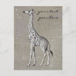 Giraffe Briefkaart