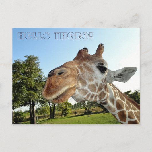 Giraffe Briefkaart / Hallo daar! (Voorkant)