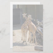 giraffe briefpapier (Voorkant / Achterkant)
