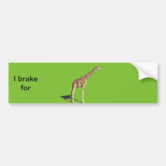 Giraffe Bumpersticker (Voorkant)