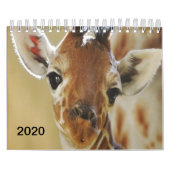Giraffe Calendrier 2020 (Protection)