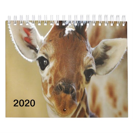 Giraffe Calendrier 2020 (Protection)