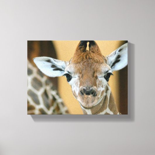 Giraffe Canvas Afdruk (Voorkant)