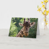Giraffe ・ Carte de voeux (Fleur jaune)