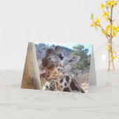 Giraffe close-up kaart (Gele Bloem)