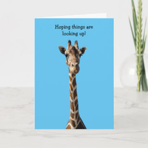 Giraffe denken aan Kaart