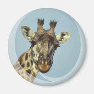 Giraffe Design Magnet Magneet