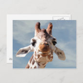 Giraffe dicht bij Blue Sky Briefkaart (Voorkant / Achterkant)