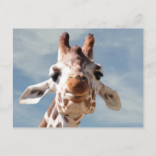 Giraffe dicht bij Blue Sky Briefkaart
