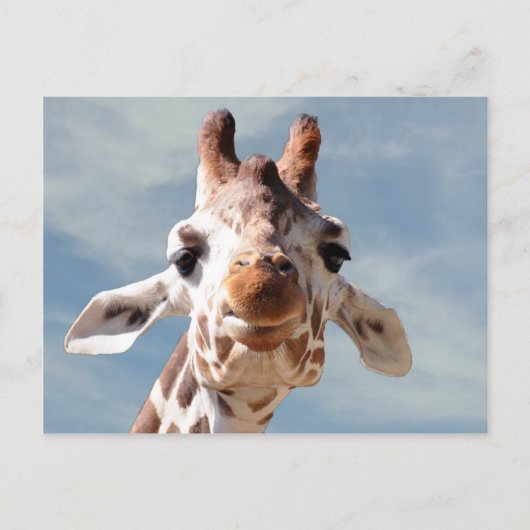 Giraffe dicht bij Blue Sky Briefkaart (Voorkant)