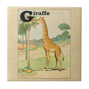 Giraffe die Acacia in de Woestijn eten Tegeltje