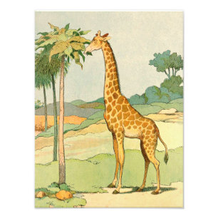 Giraffe die Geïllustreerde de Bladeren van de Foto Afdruk