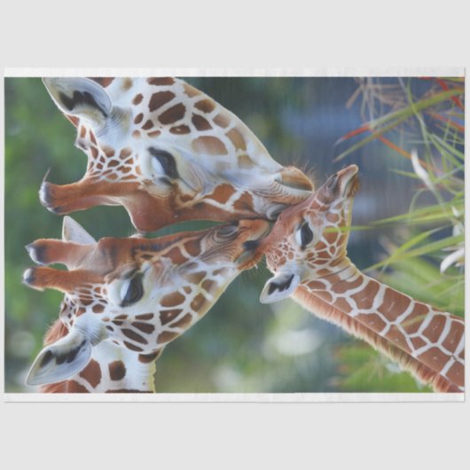 Giraffe Digitale Kunst Familie Decoupage Tissuepapier (Voorkant)